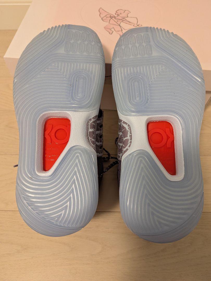 シューズ(男性用) NIKE KD14 NRG EP