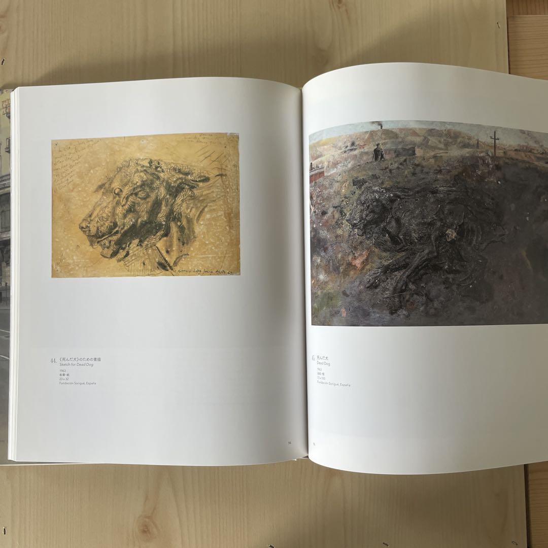 現代スペイン・リアリズムの巨匠 アントニオ・ロペス展 図録 図録 アントニオ・ロペス展 現代スペイン・リアリズムの巨匠