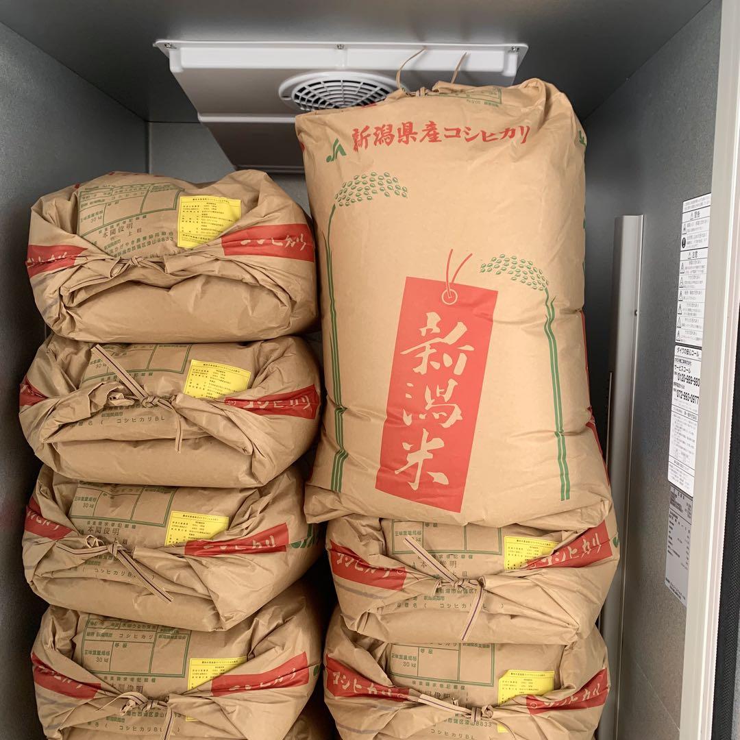 令和6年度産 新潟県産コシヒカリ 玄米30kg 特別栽培米
