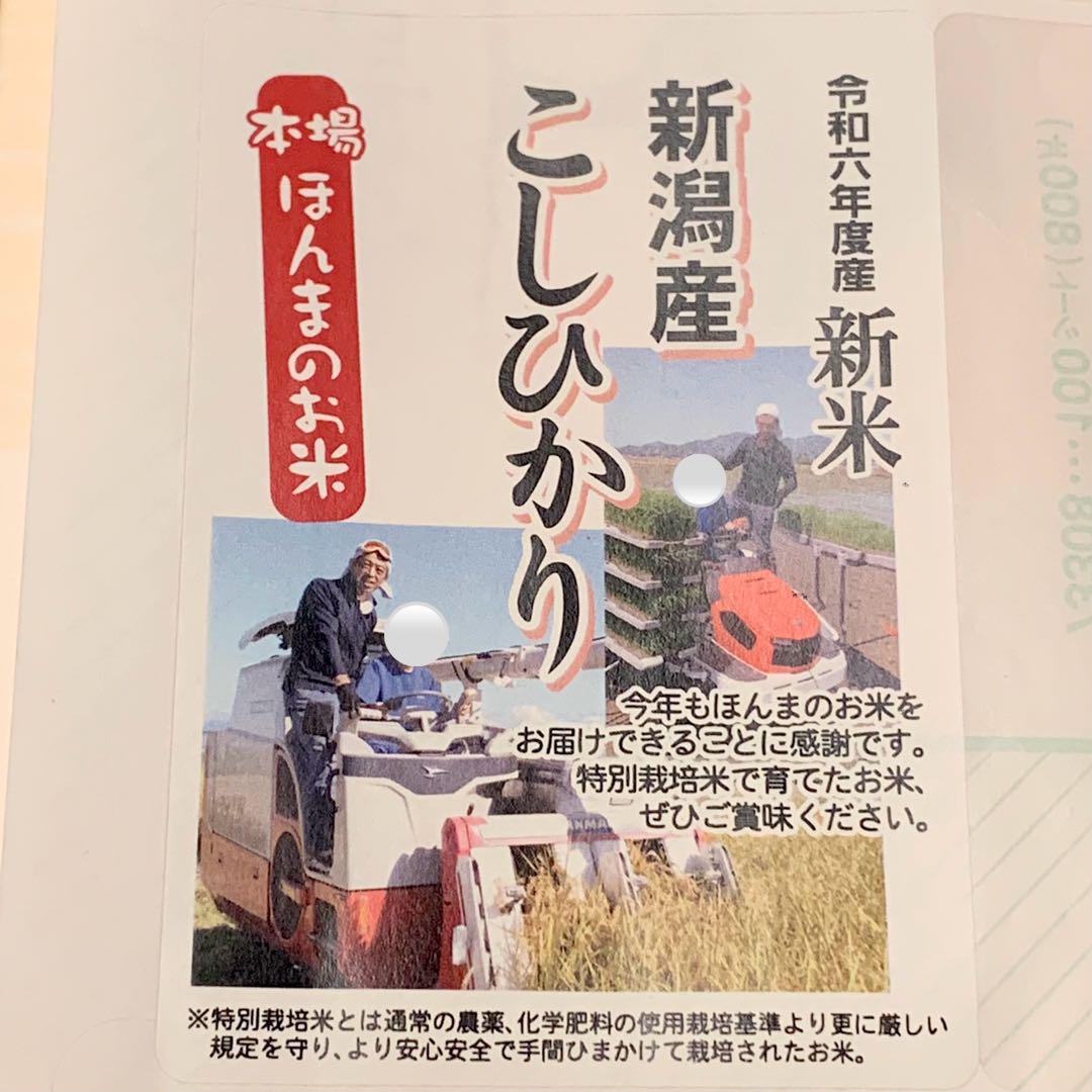 令和6年度産 新潟県産コシヒカリ 玄米30kg 特別栽培米