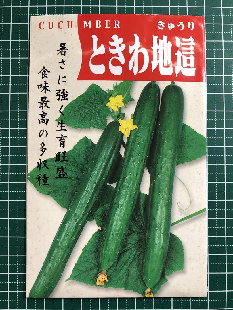 キュウリ ずーっととれる｜種（タネ）,球根,苗,資材