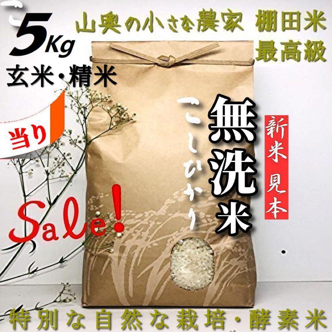 【超希少】棚田米　酵素米　コシヒカリ　玄米５ｋｇ「無洗米 に精米」