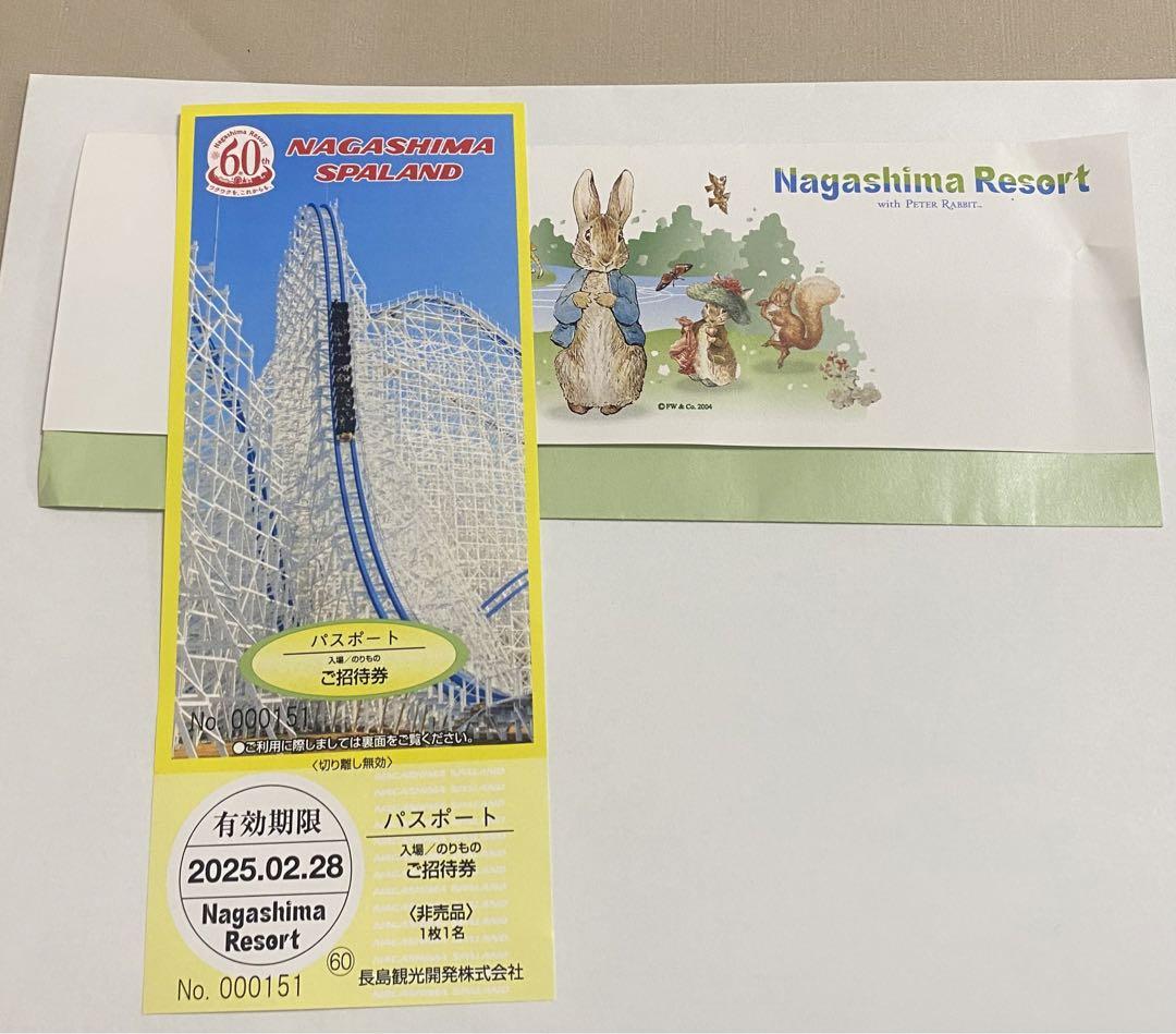 ナガシマスパーランド パスポート 1枚