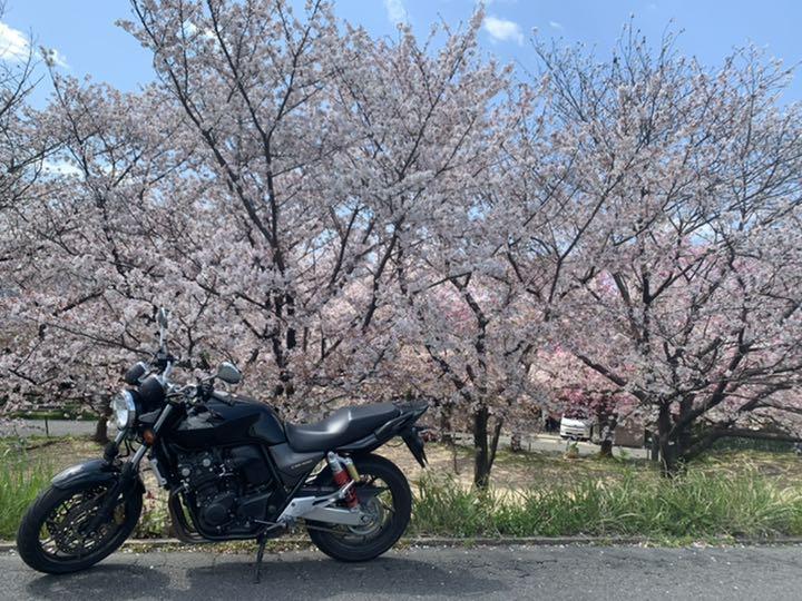CB400SF REVO NC42 2015
