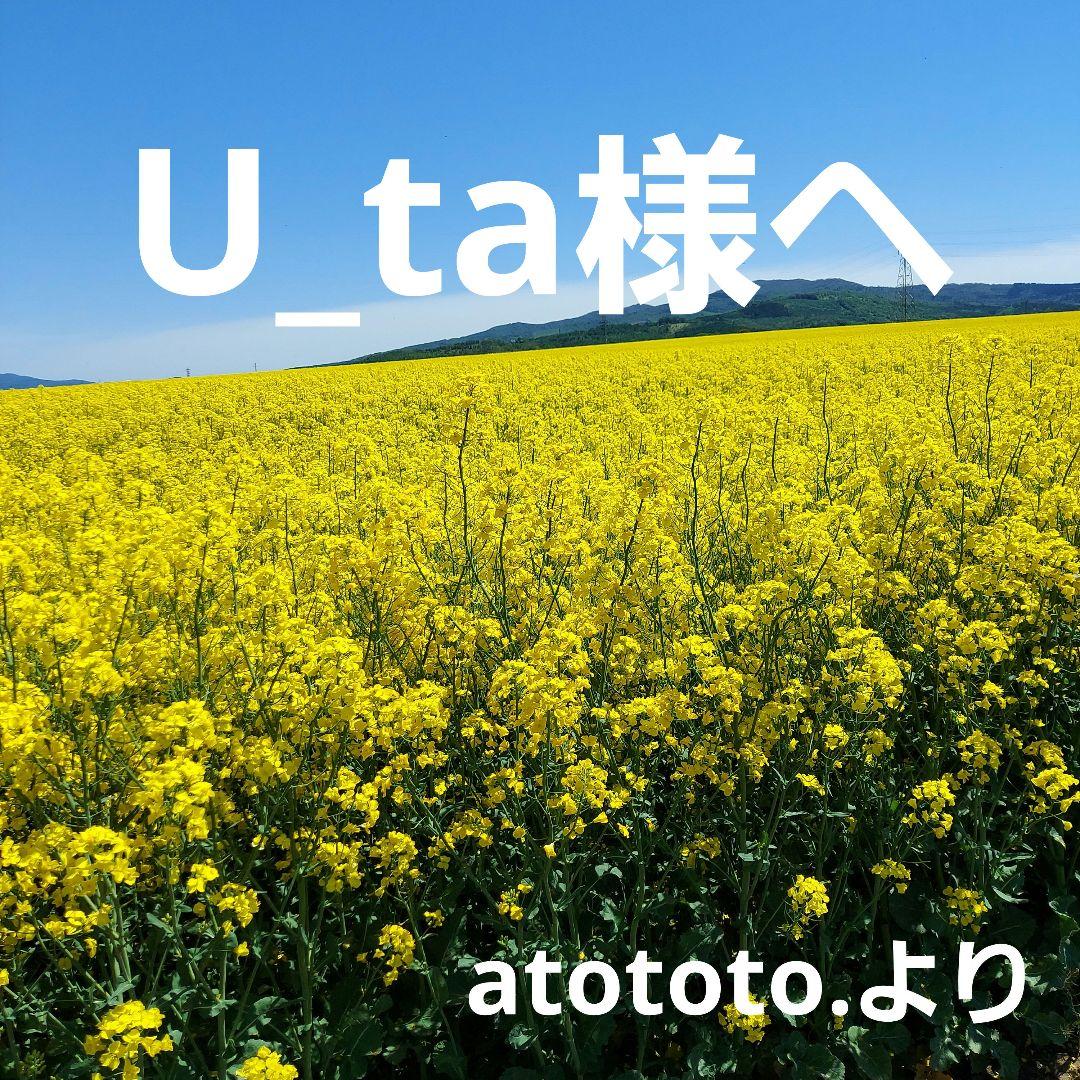u_ta様 リクエスト 2点 まとめ商品