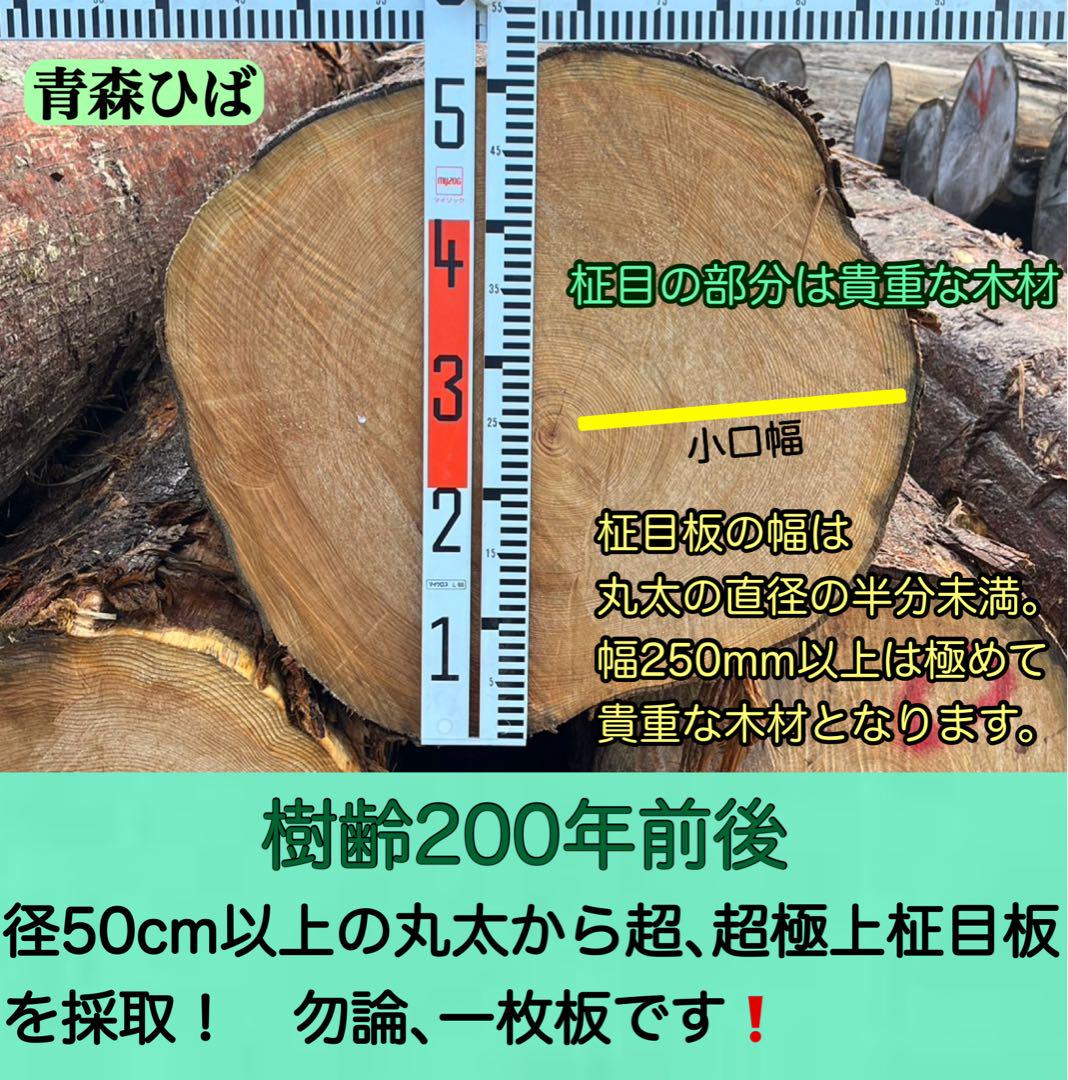 専用出品です。入手困難！ 青森ひばまな板一枚板柾目板 　超、超極上品