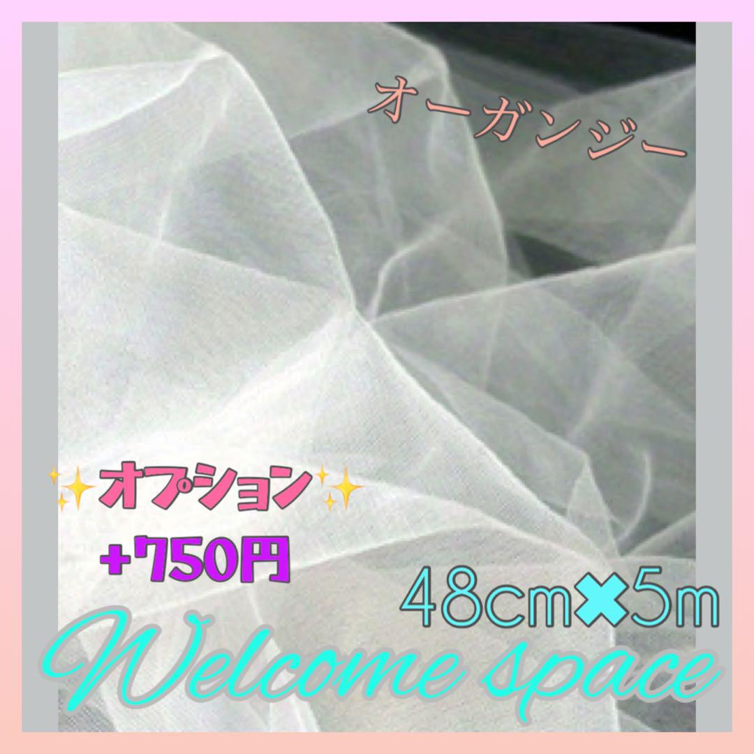 ウェルカムスペース　結婚式　ディズニー　美女と野獣　フォトフレーム　まとめ売り