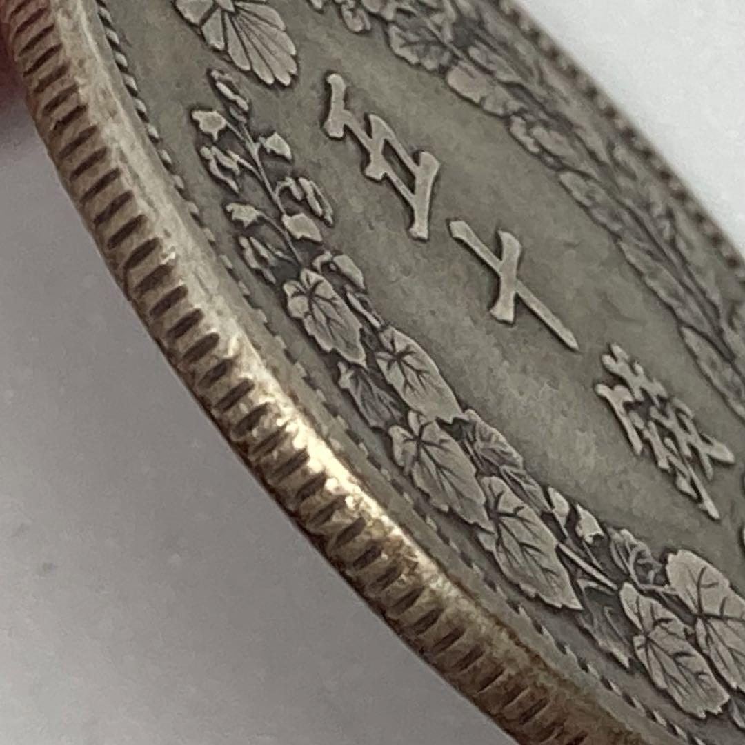 美品 手変り【斜長年・欠桐枝（桐主枝欠落）・密葉脈】 明治6年