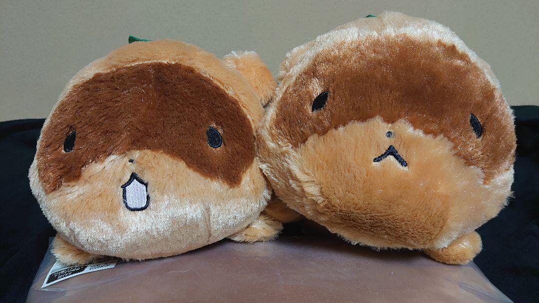 〘いぬぼく〙わたぬきセット 6hQHN-m77412788658 新品超激安
