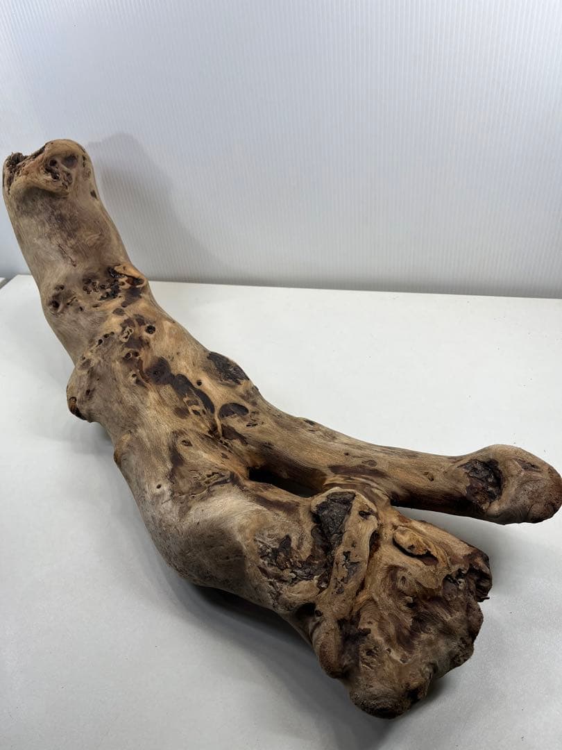 V98特大流木 アク抜き済み流木 爬虫類シェルター 登り木 インテリア