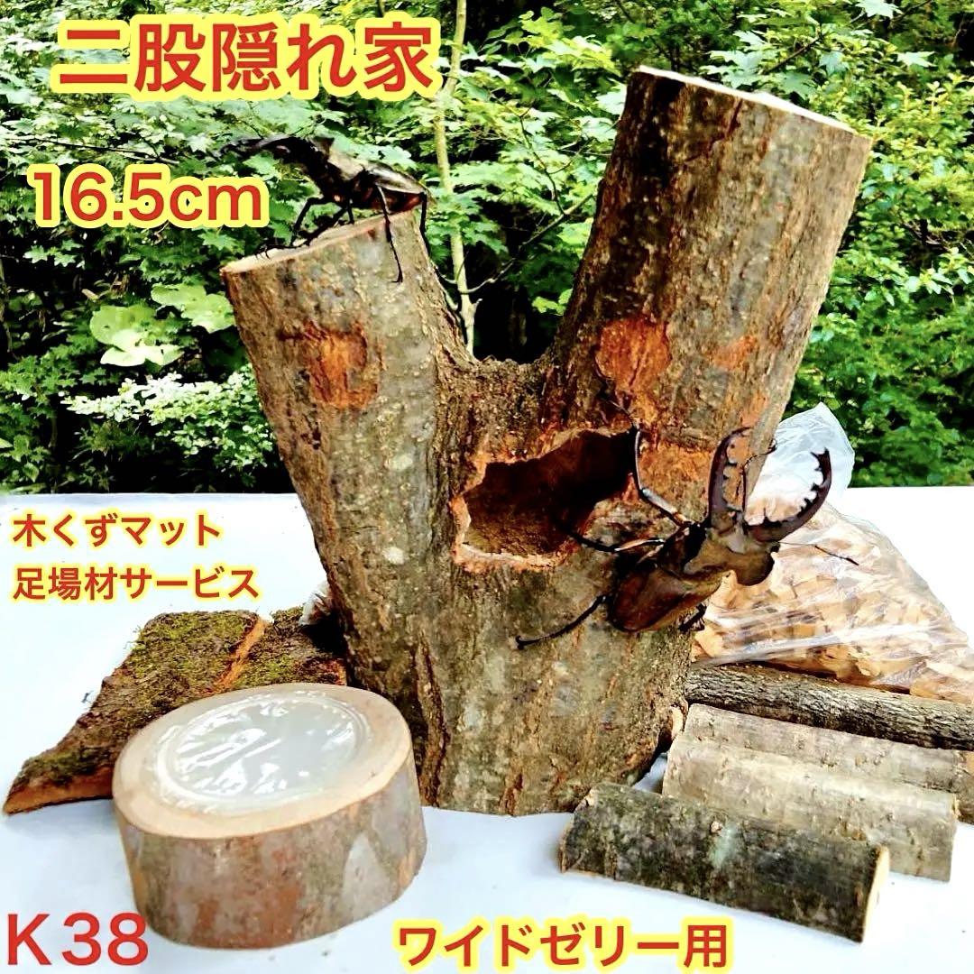 あ様 リクエスト 2点 まとめ商品　隠れ家　樹洞　クワリウム　エサ皿　クワガタ あ様 リクエスト 2点 まとめ商品 隠れ家 樹洞 クワリウム エサ皿