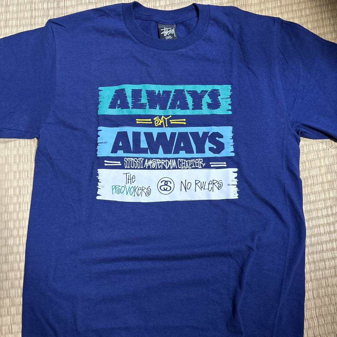 STUSSY Tシャツ 画像1