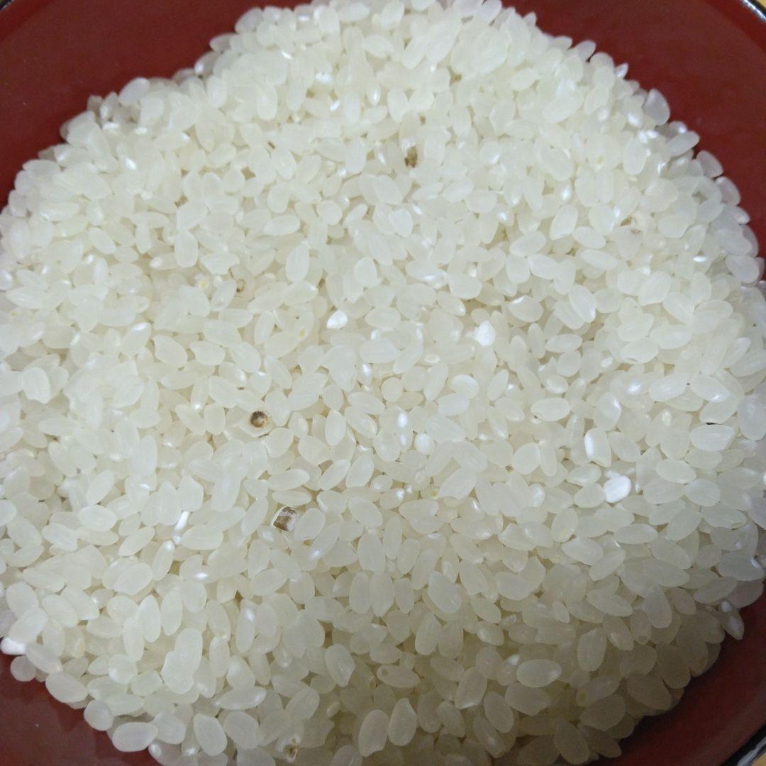 A*M様 5年産コシヒカリ天日乾燥白米 10kg