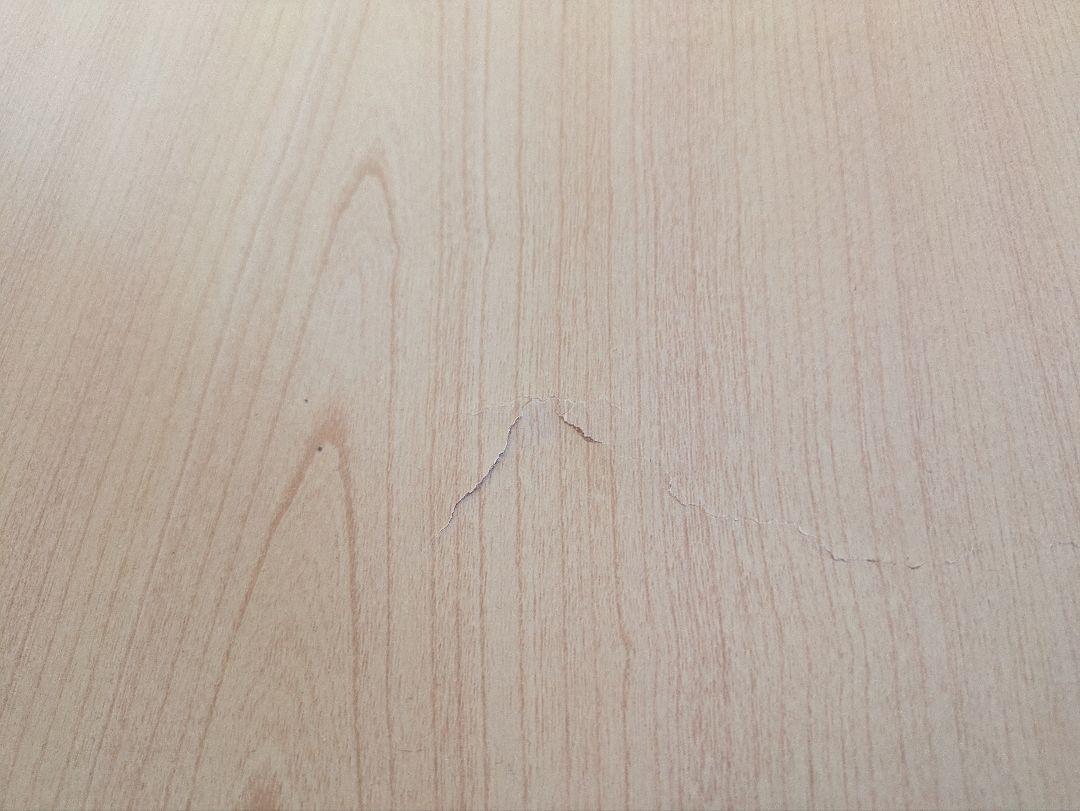 引取のみ