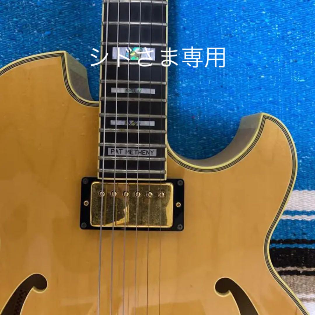 pm-100 パットメセニー　アイバニーズ