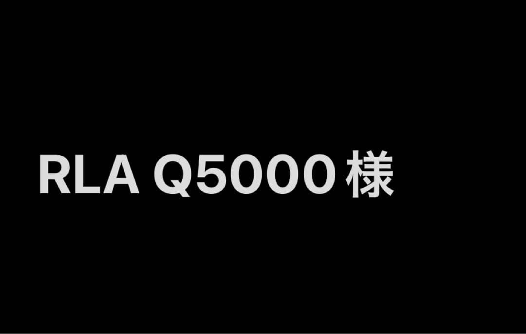 80s 90sヴィンテージH-street jason rogers BIGT