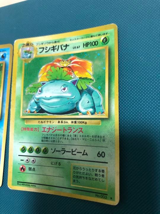 完売 ポケカ 旧裏 フシギバナ 2セット マークあり ポケモンカードゲーム Ostan Kd Ir 完売 ポケカ 旧裏 フシギバナ 2セット マークあり ポケモンカードゲーム Ostan Kd Ir