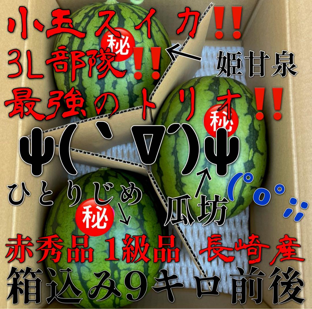小玉スイカ！！3L部隊！！最強のトリオ！！ ψ(｀∇´)ψ (゜o゜;; 果物