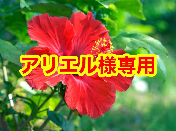 アリエル様専用 - www.vladahbz.com ショッピング超特価 ~自作PC依頼~【アリエル様専用窓口】 デスクトップ型PC
