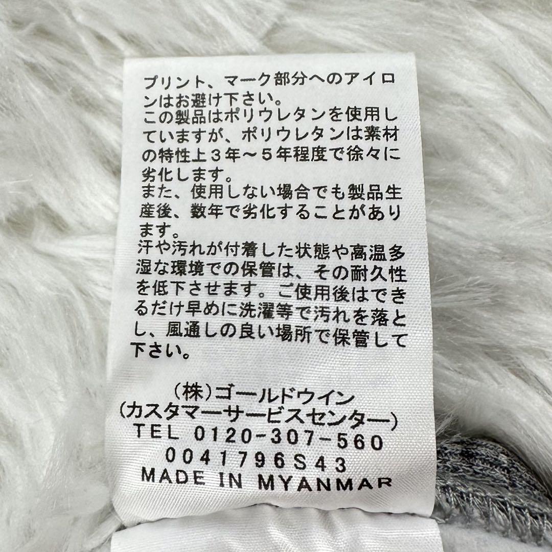 ☢ ザノースフェイス