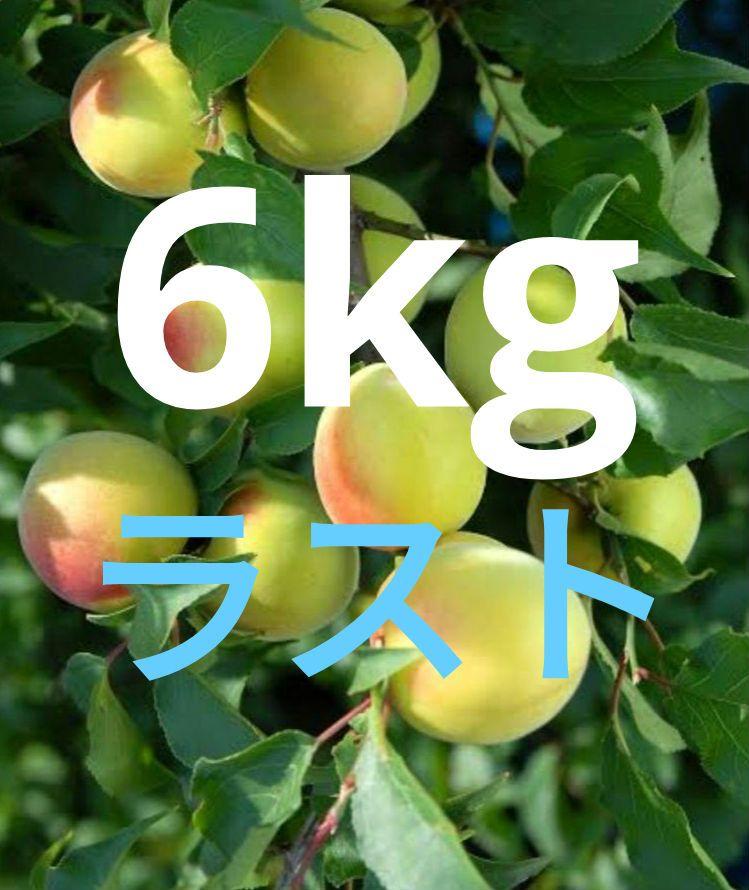 信州産　南高梅