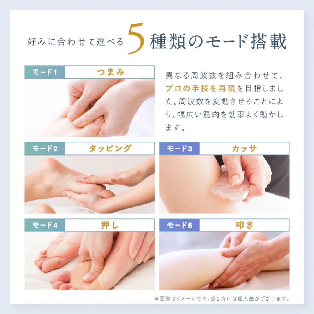 ⚠️サトフク⚠️ NIPLUX LEG FIT フィットネス機器 ブラック