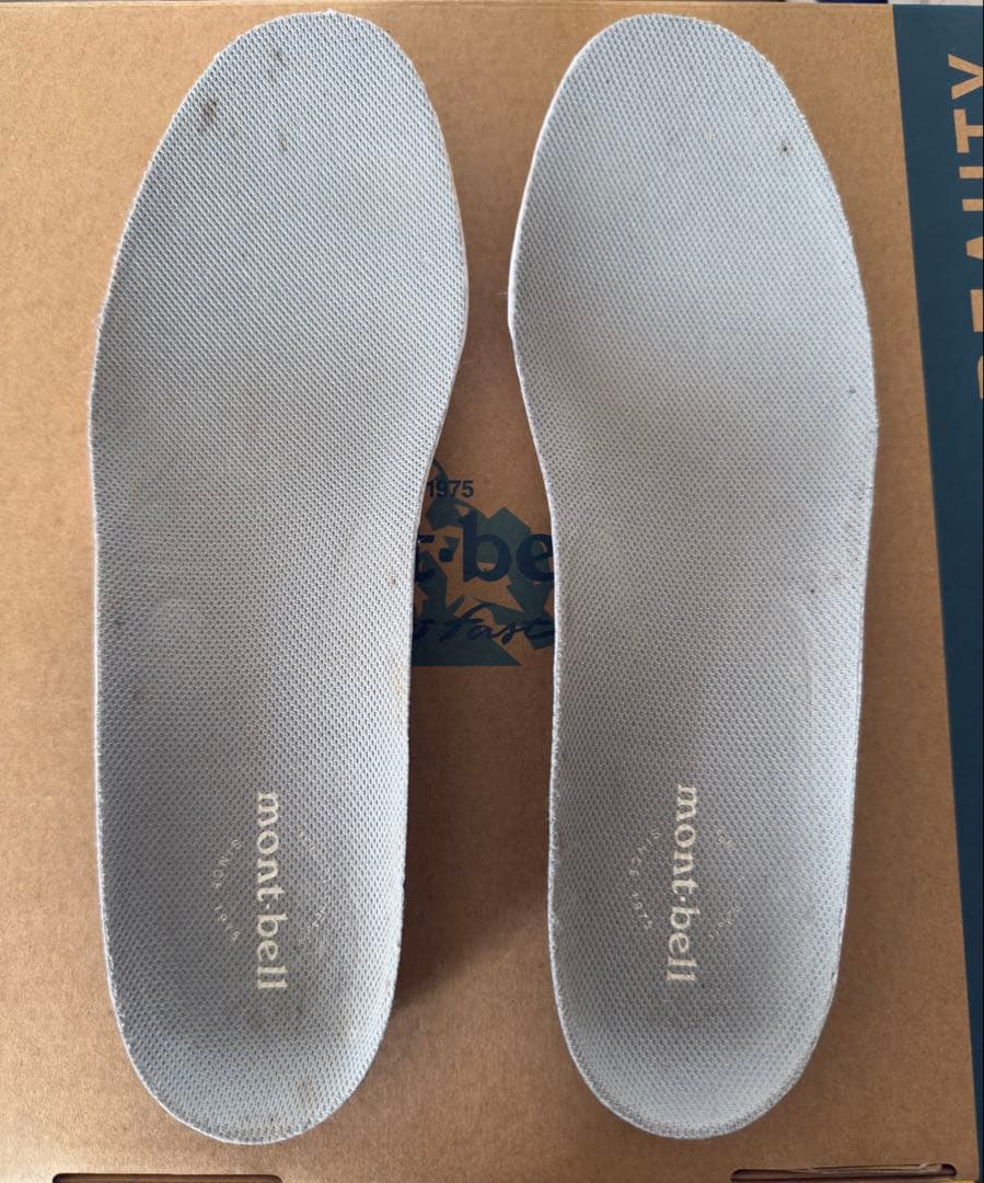 アルパインクルーザー 1000