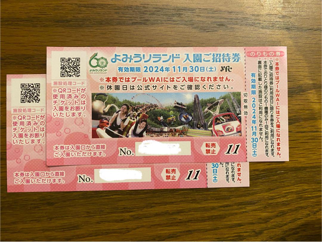 ⭐︎24h発送⭐︎よみうりランド入場チケット２枚