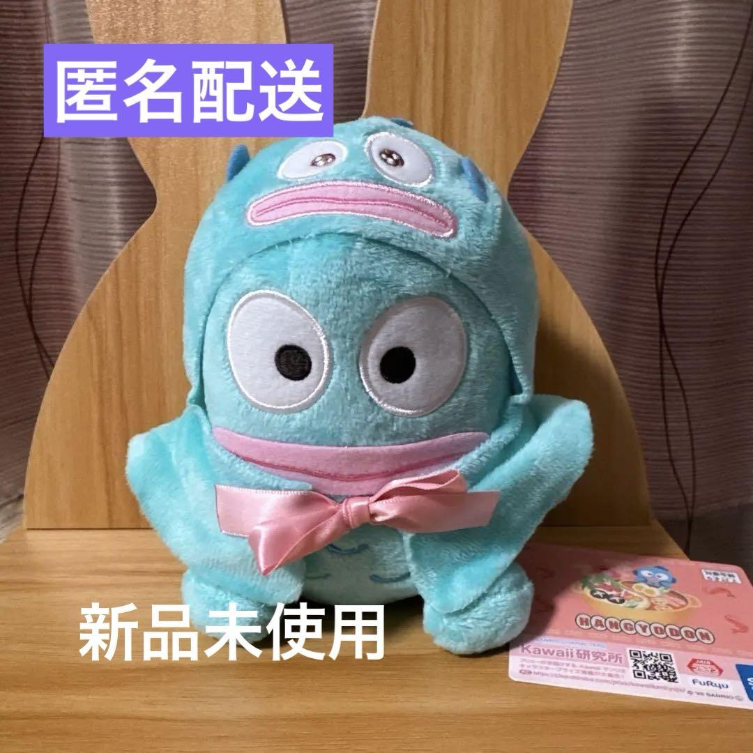 ハンギョドン おめかしポンチョ付きぬいぐるみ【値下げ交渉可