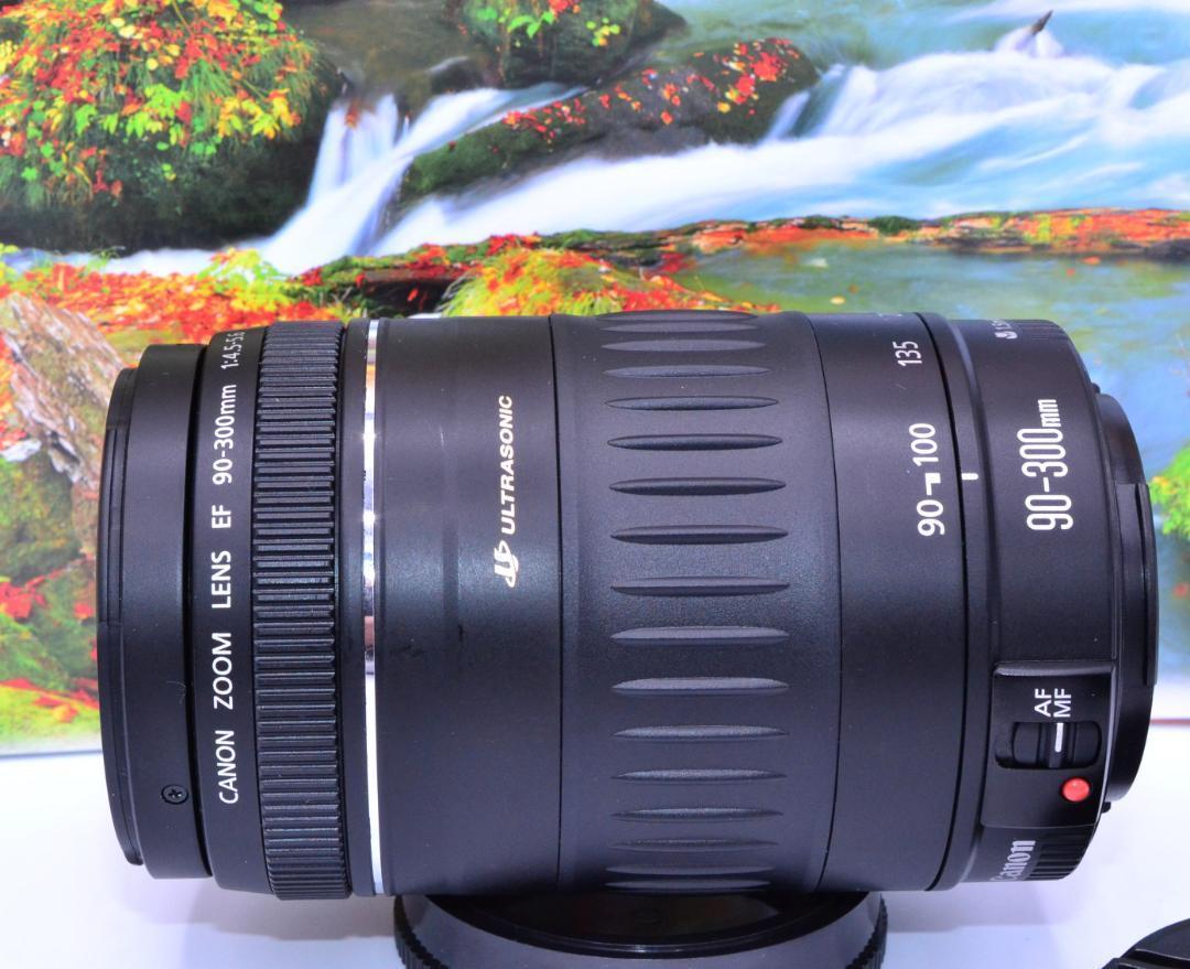 望遠はここから！Canon EF 90-300mm USM 望遠レンズ♥9 - メルカリ