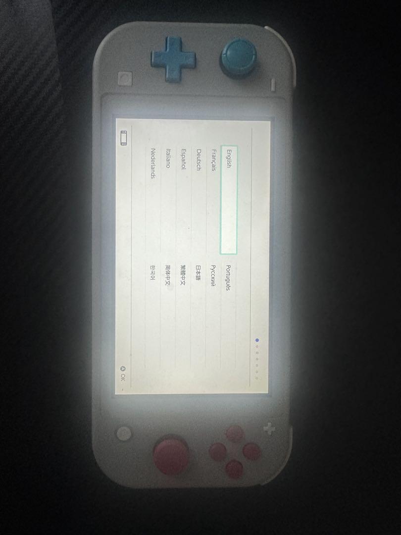 Nintendo Switch Lite ザシアン・ザマゼンタ　充電機あり