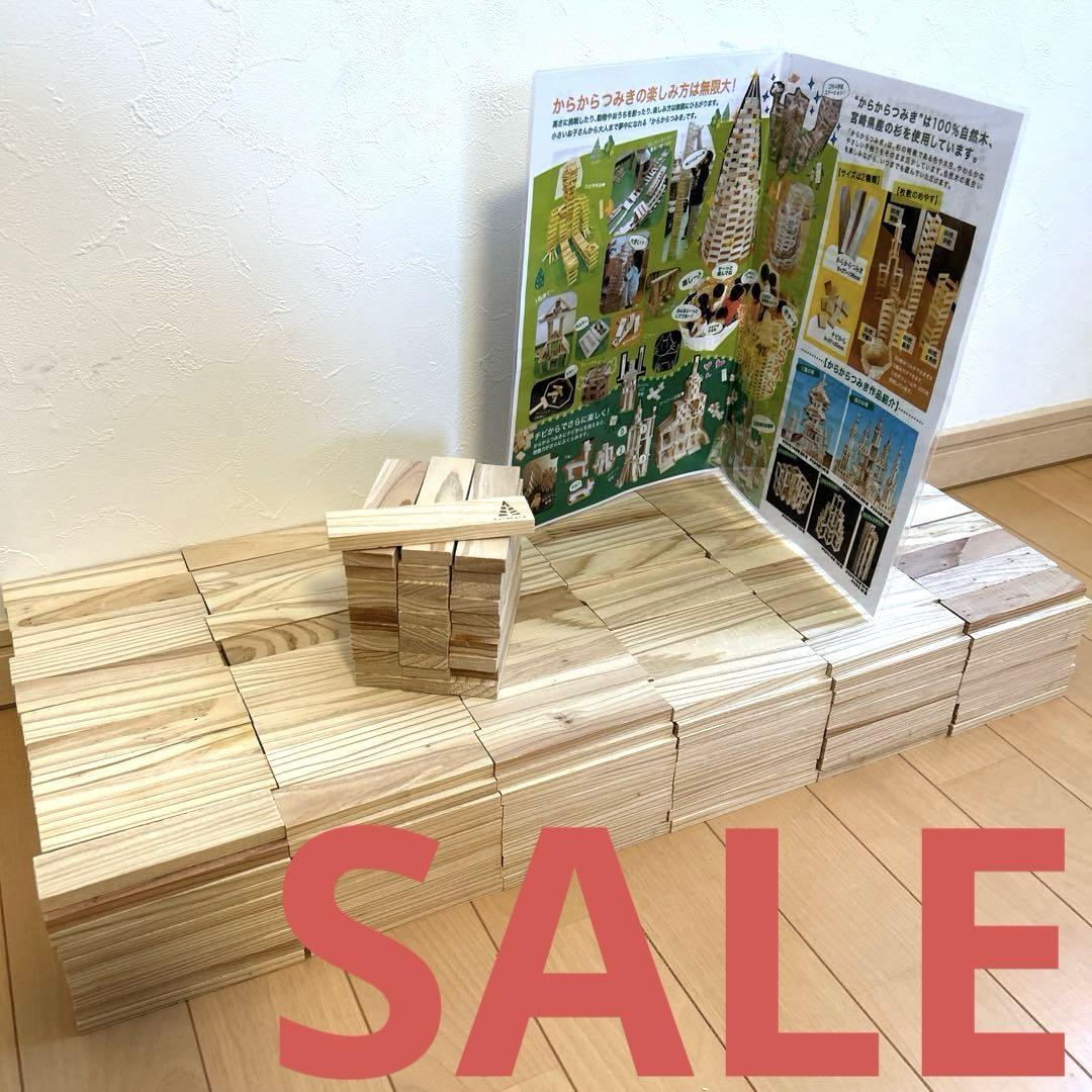 SALE☆ 【知育玩具】　天然木積み木　からからつみき108 631枚セット