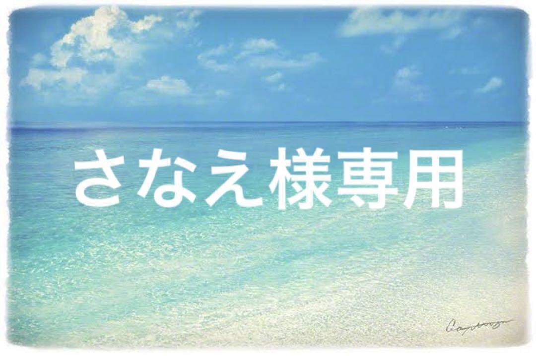 さなえ様