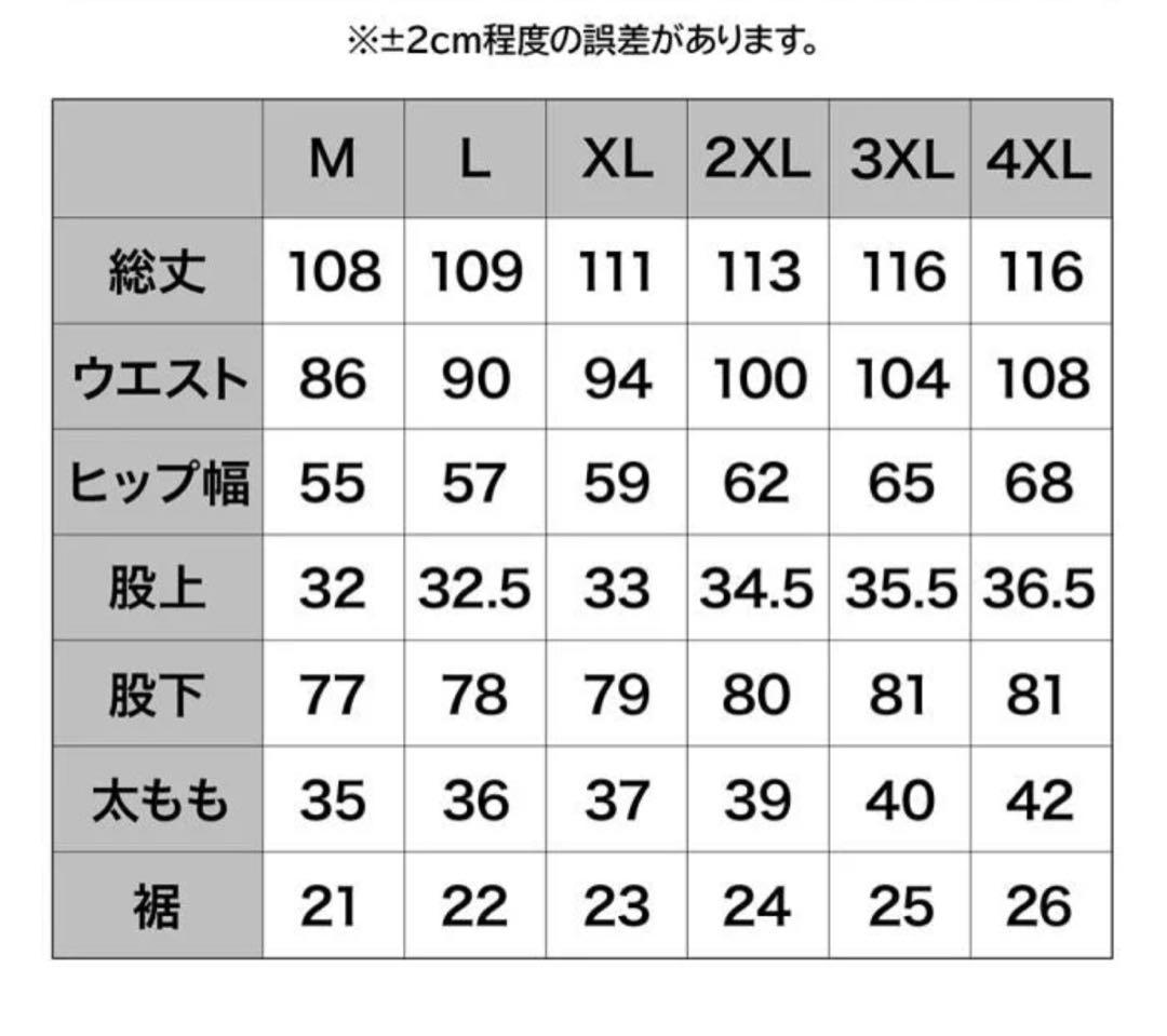 DRESS ハイグレード レインパンツ AIRBORNE