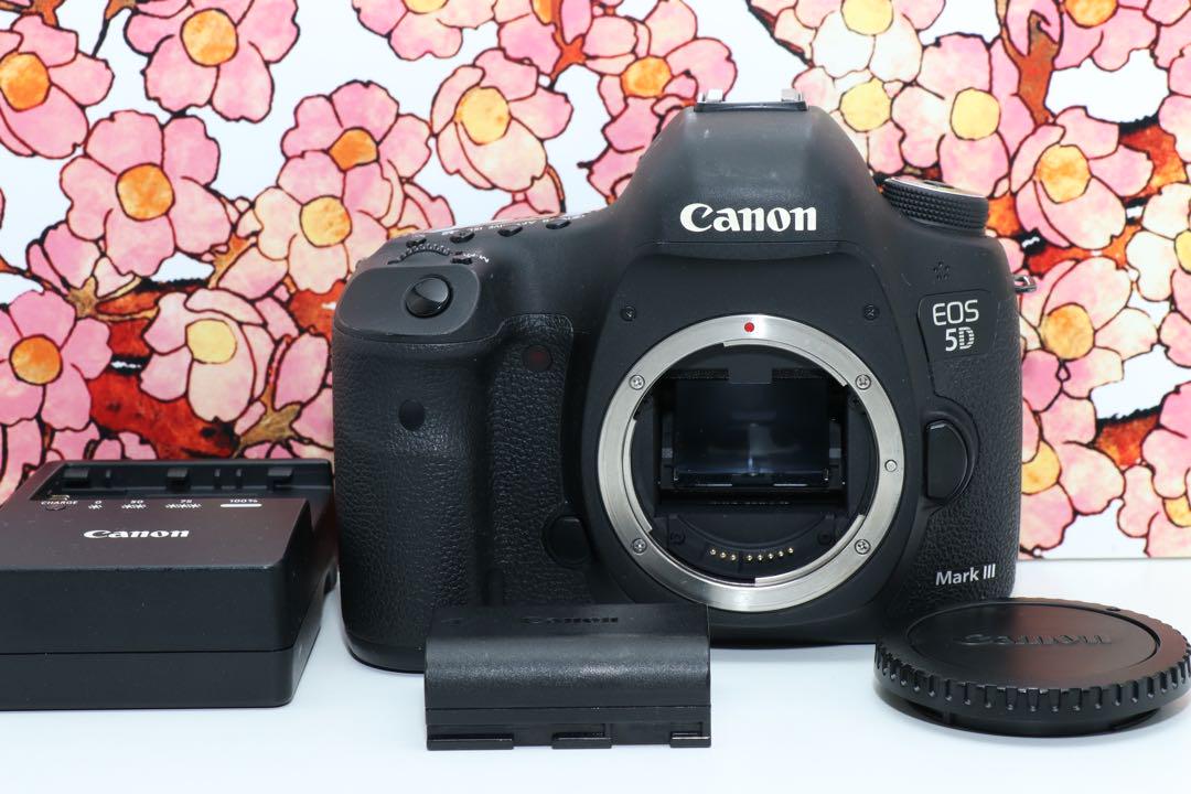 ❤堅牢の5D系列❤キヤノン EOS 5D mark Ⅲ❤️