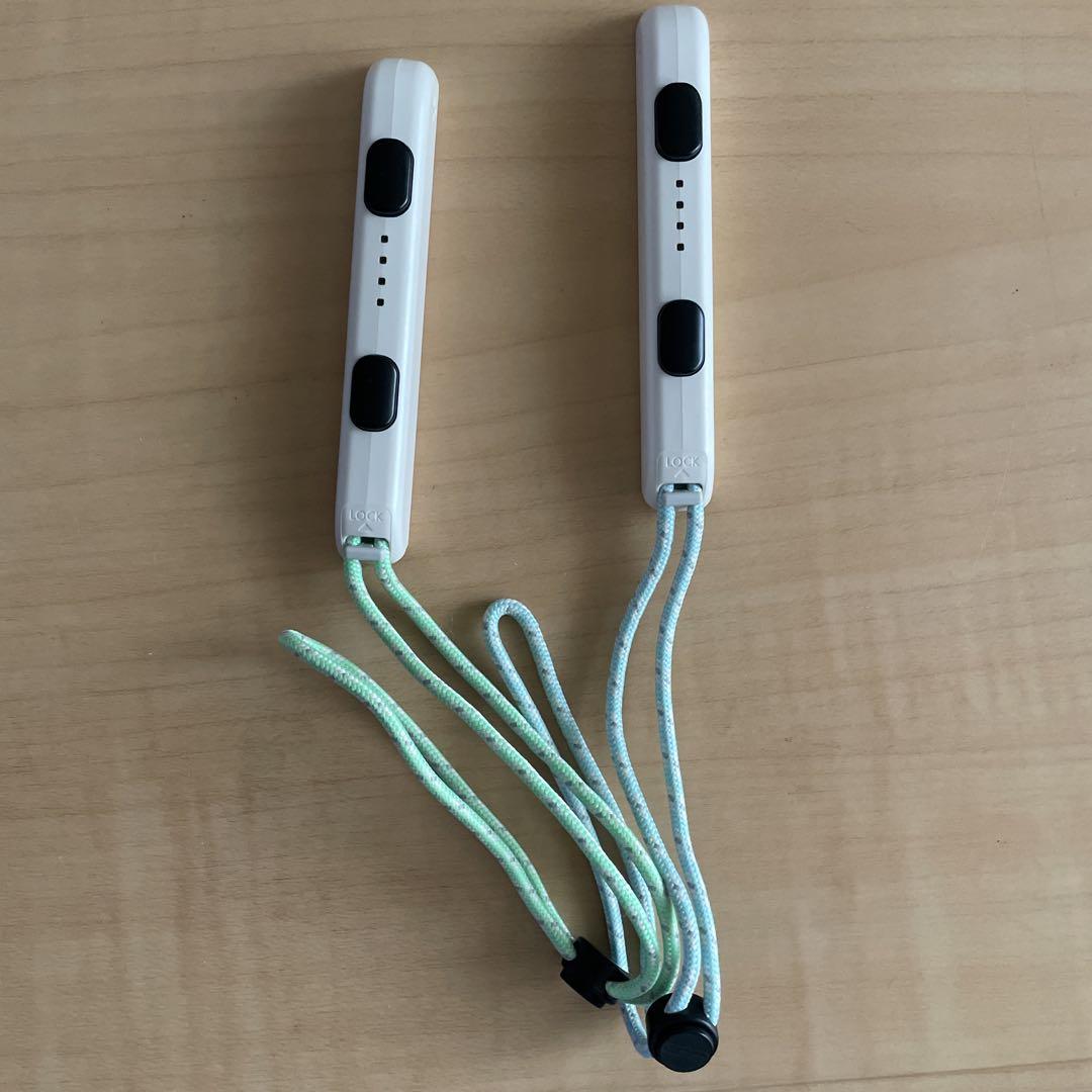 Switch Joy-Con コントローラーセット　どうぶつの森