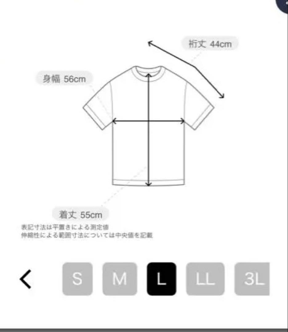 ふわふわVネックセーター Lサイズ ホワイト