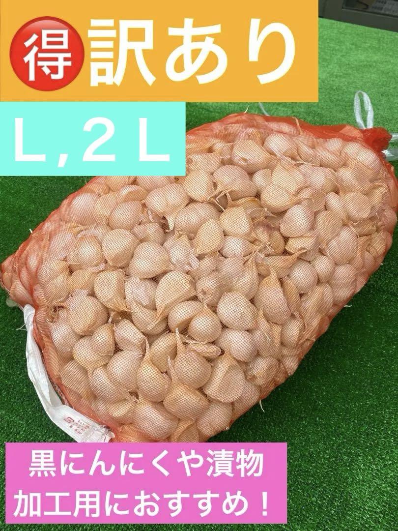 訳あり　青森県産 にんにく L,2Lサイズ バラ 福地ホワイト六片