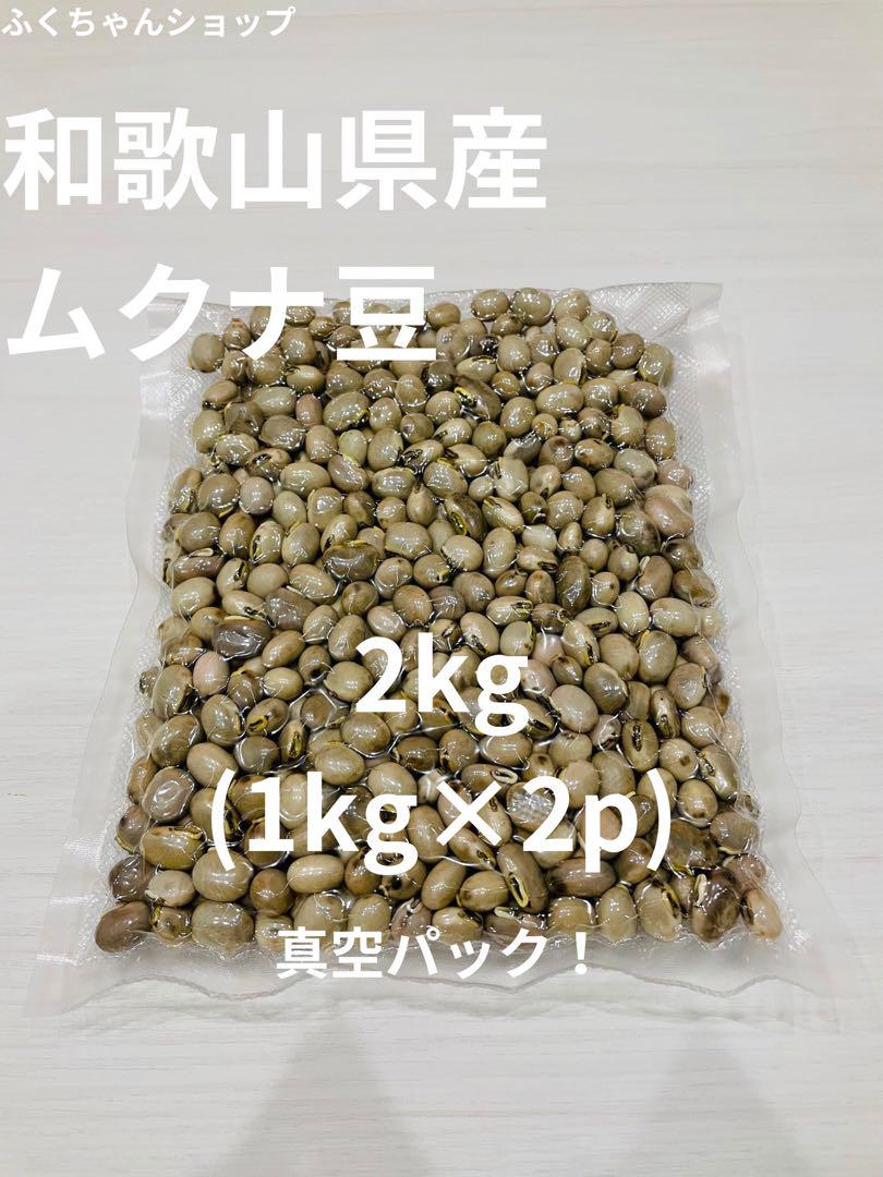 和歌山県産　ムクナ豆　2kg 令和6年産　農薬不使用　八升豆　産地直送