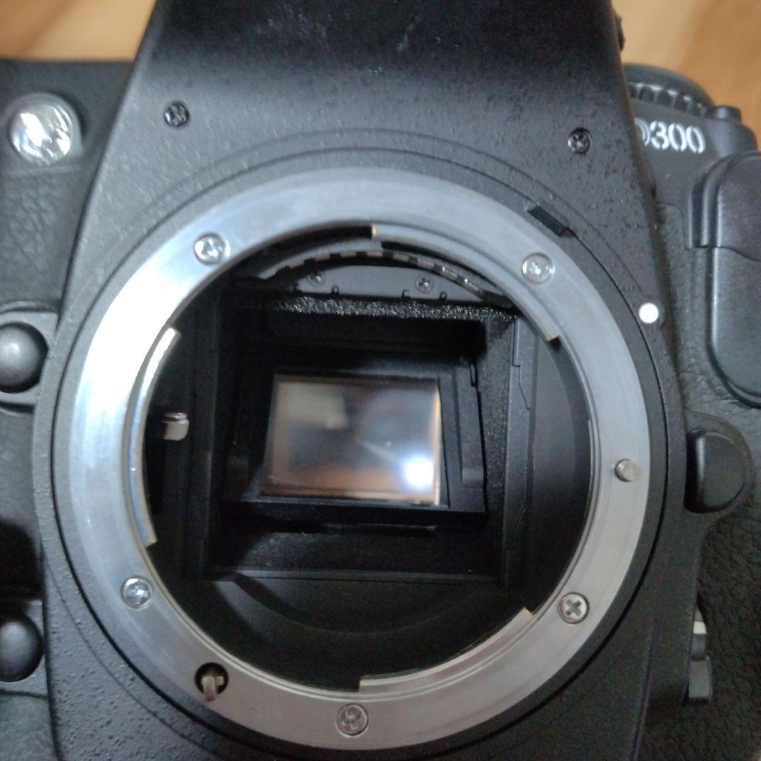 Nikon D300 18-135mmズーム＆シグマEF-610DGセット - メルカリ