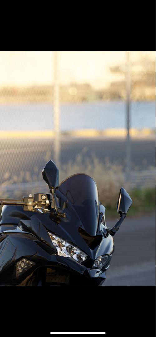 ZX25R トリックスター スクリーン スモーク