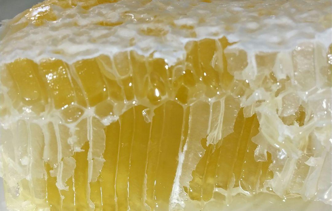 【しるびあ】日本ミツバチ生はちみつ    200g×６本