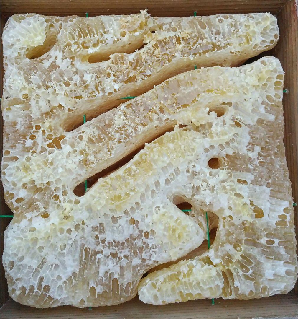 【しるびあ】日本ミツバチ生はちみつ    200g×６本