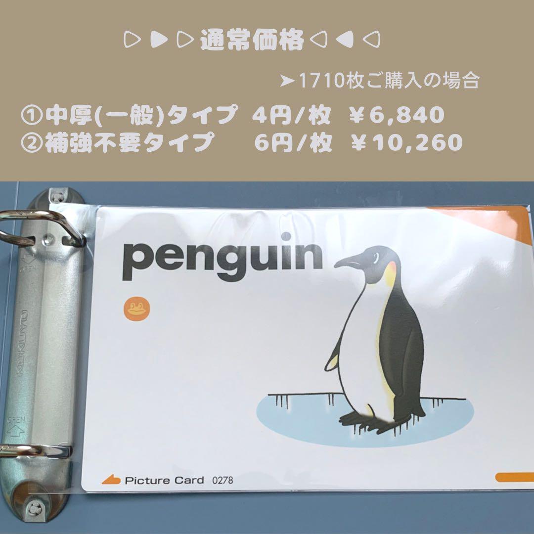 有名な高級ブランド ◎最安値出品！ 背表紙 収納袋 ピクチャーカード ペッピーキッズ ファイル・バインダー・ケース