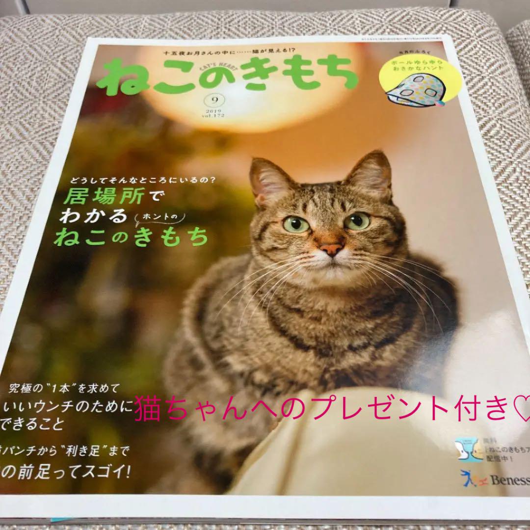 メルカリ 猫ちゃんへのプレゼント付き ねこのきもち 19年9月号 Benesse 雑誌 500 中古や未使用のフリマ
