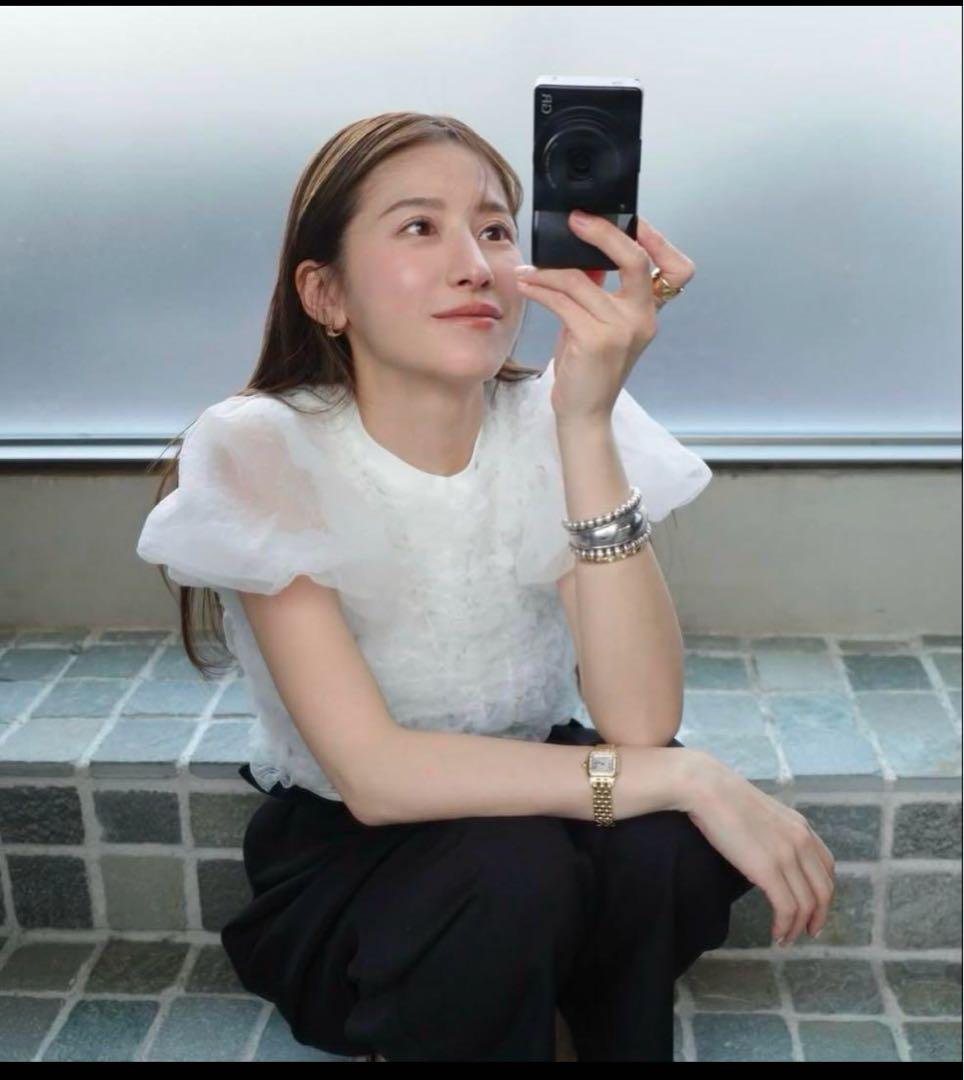 新品　CLANE TULLE VEST LAYERED TOPS
