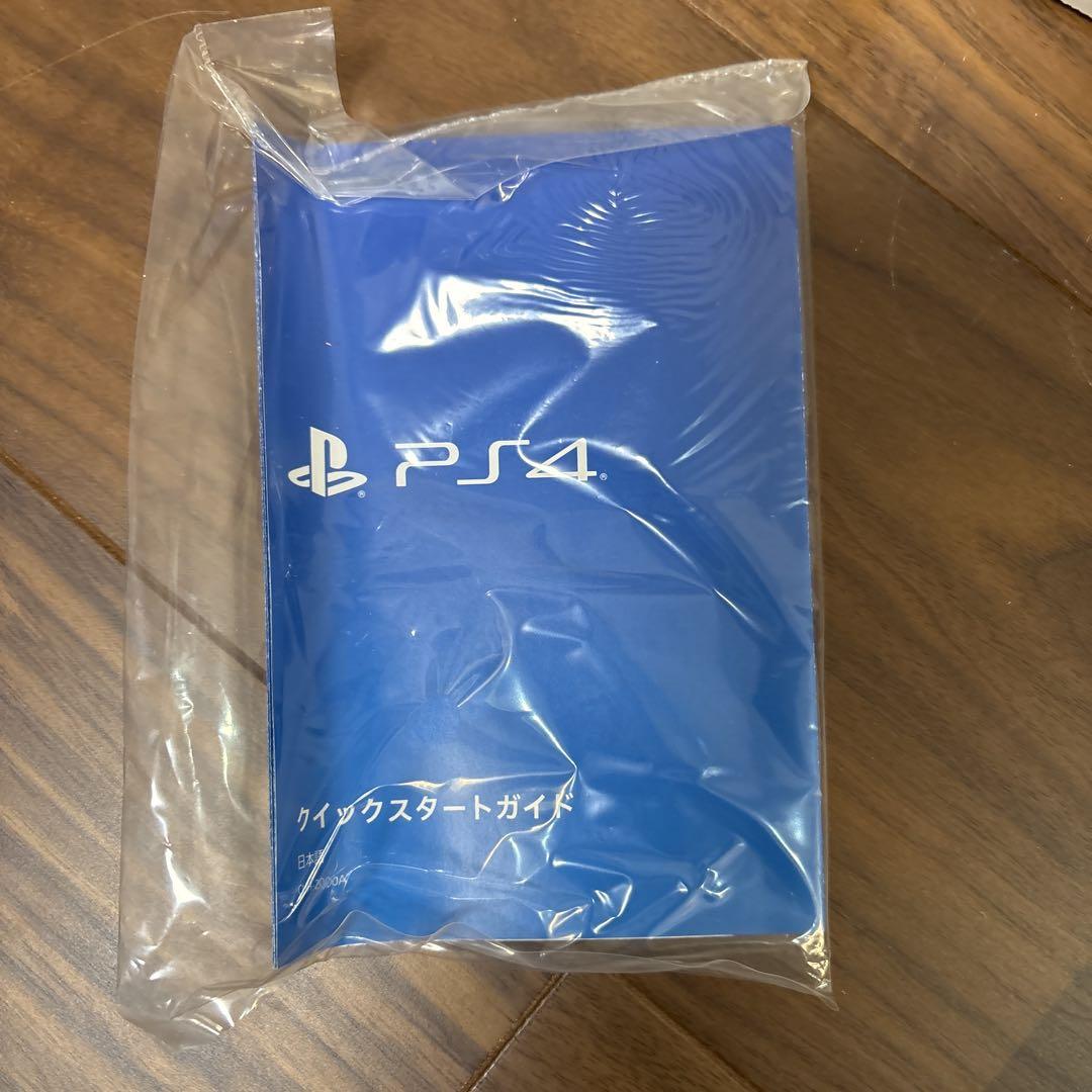 500GB 本体のみ