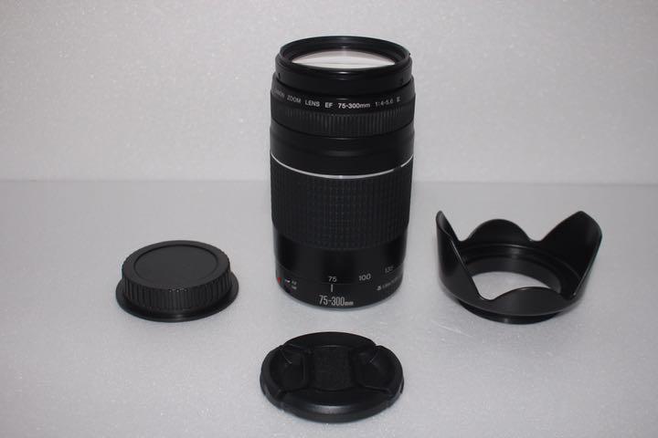 通販限定商品 人気の300㎜超望遠レンズキャノン Canon EF75-300