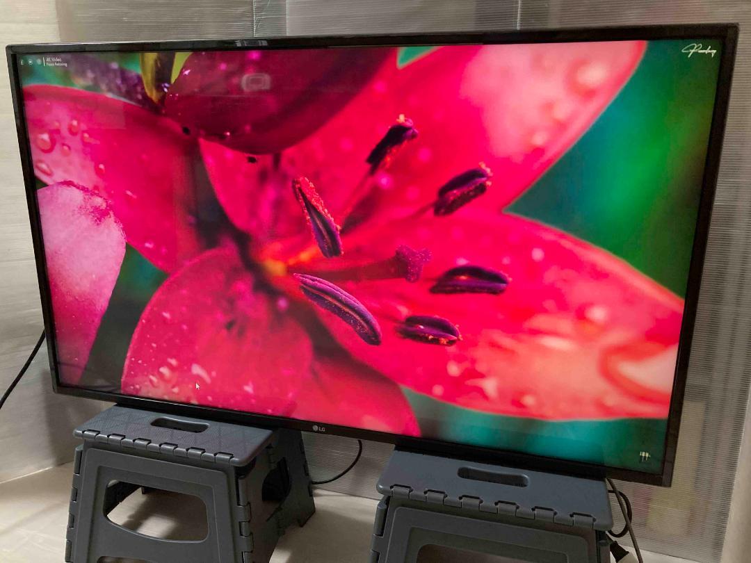 2020年製 43型テレビ LG 43UN7100PJA