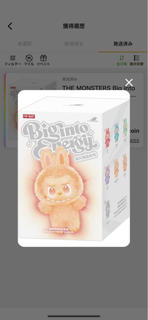 Labubu ラブブ グレー ブラック 黒 シークレット